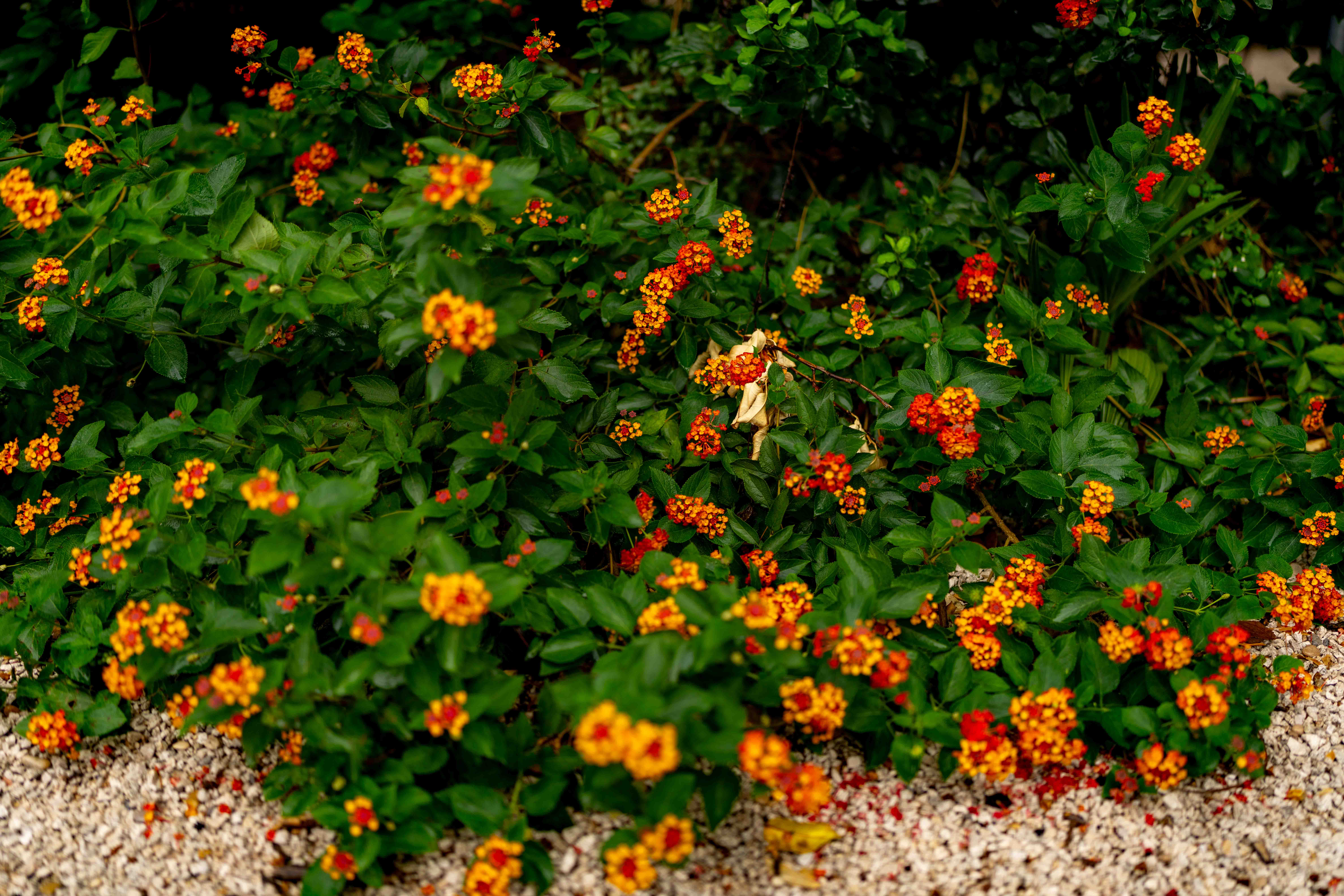 Photos from travel in Rome, Florence, Venice, Fall 2025.